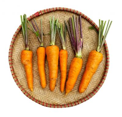 Cà rốt thường - Cà rốt baby - Cà rốt cọng tím